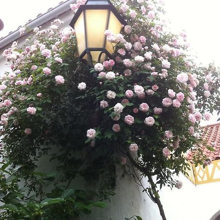 פררה דו אלנטחו Patio Das Flores מראה חיצוני תמונה
