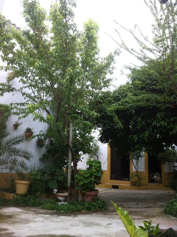פררה דו אלנטחו Patio Das Flores מראה חיצוני תמונה