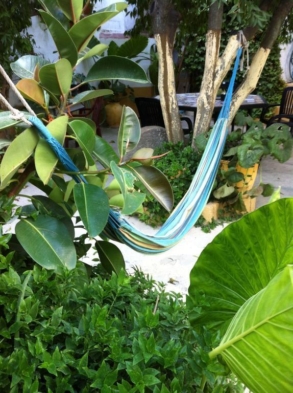 פררה דו אלנטחו Patio Das Flores מראה חיצוני תמונה
