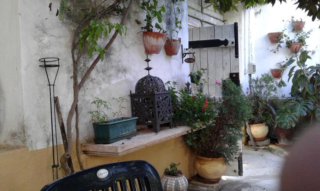 פררה דו אלנטחו Patio Das Flores מראה חיצוני תמונה