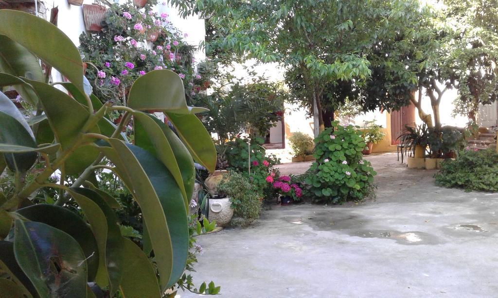 פררה דו אלנטחו Patio Das Flores מראה חיצוני תמונה