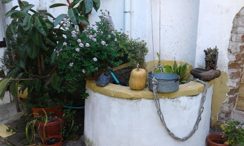 פררה דו אלנטחו Patio Das Flores מראה חיצוני תמונה